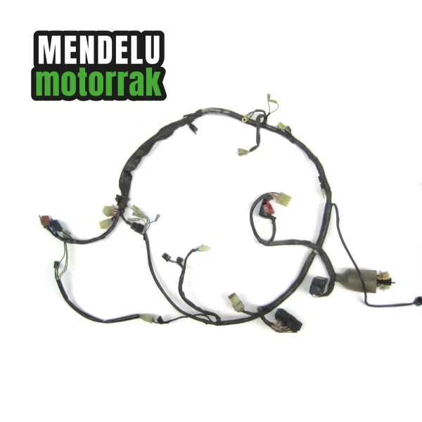 Cableado eléctrico mazo principal de Honda CB 600 F Hornet 2003-2004 (CB600F PC36). Ref: 32100-MBZ-K00 / 32100-MBZ-K000